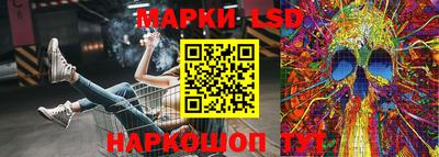 a pvp Славгород