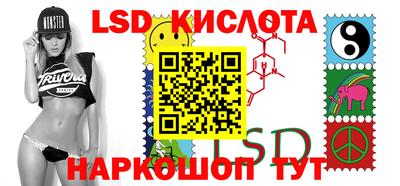 a pvp Славгород