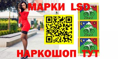 a pvp Славгород