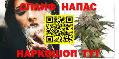 хмурый Сланцы