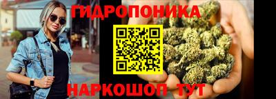 хмурый Сланцы