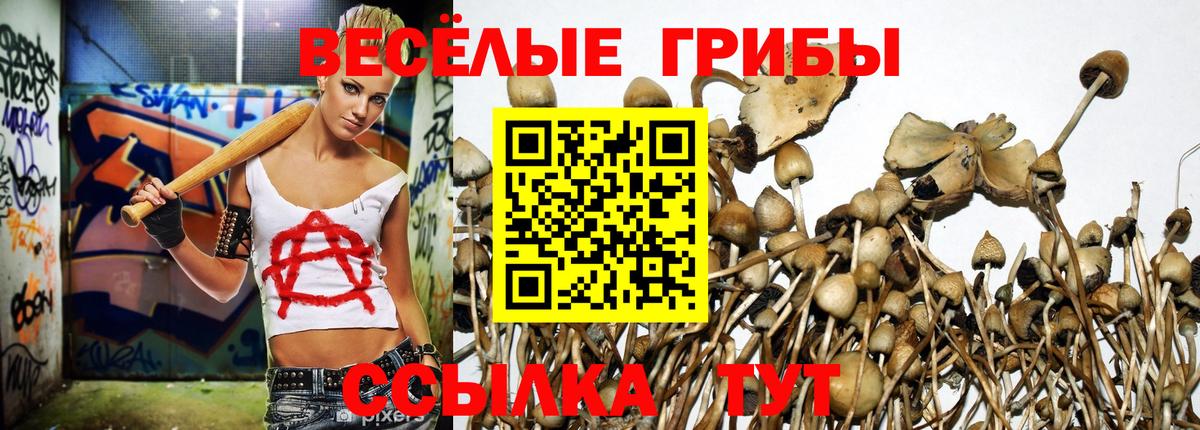 Нерюнгри  Галлюциногенные грибы Psilocybine cubensis  Псилоцибиновые грибы ЛСД  Вход с VPN 
