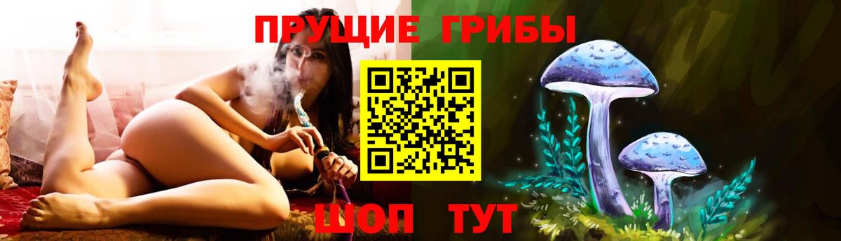 Псилоцибиновые грибы GOLDEN TEACHER Нерюнгри