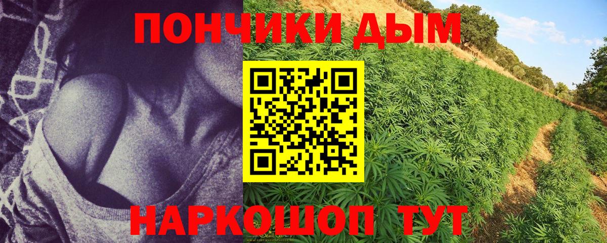 Бошки марихуана THC 21% Нерюнгри